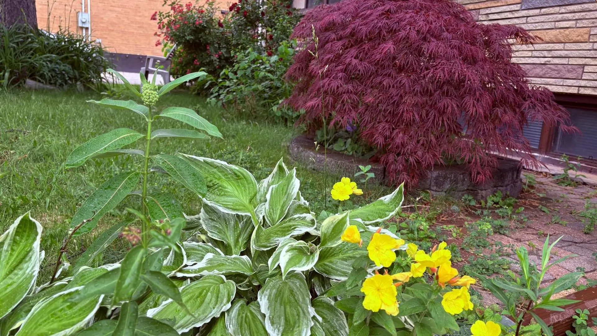 Séjour chez l'habitant Vita House Toronto Near Downsview And Yorkdale Shopping Center