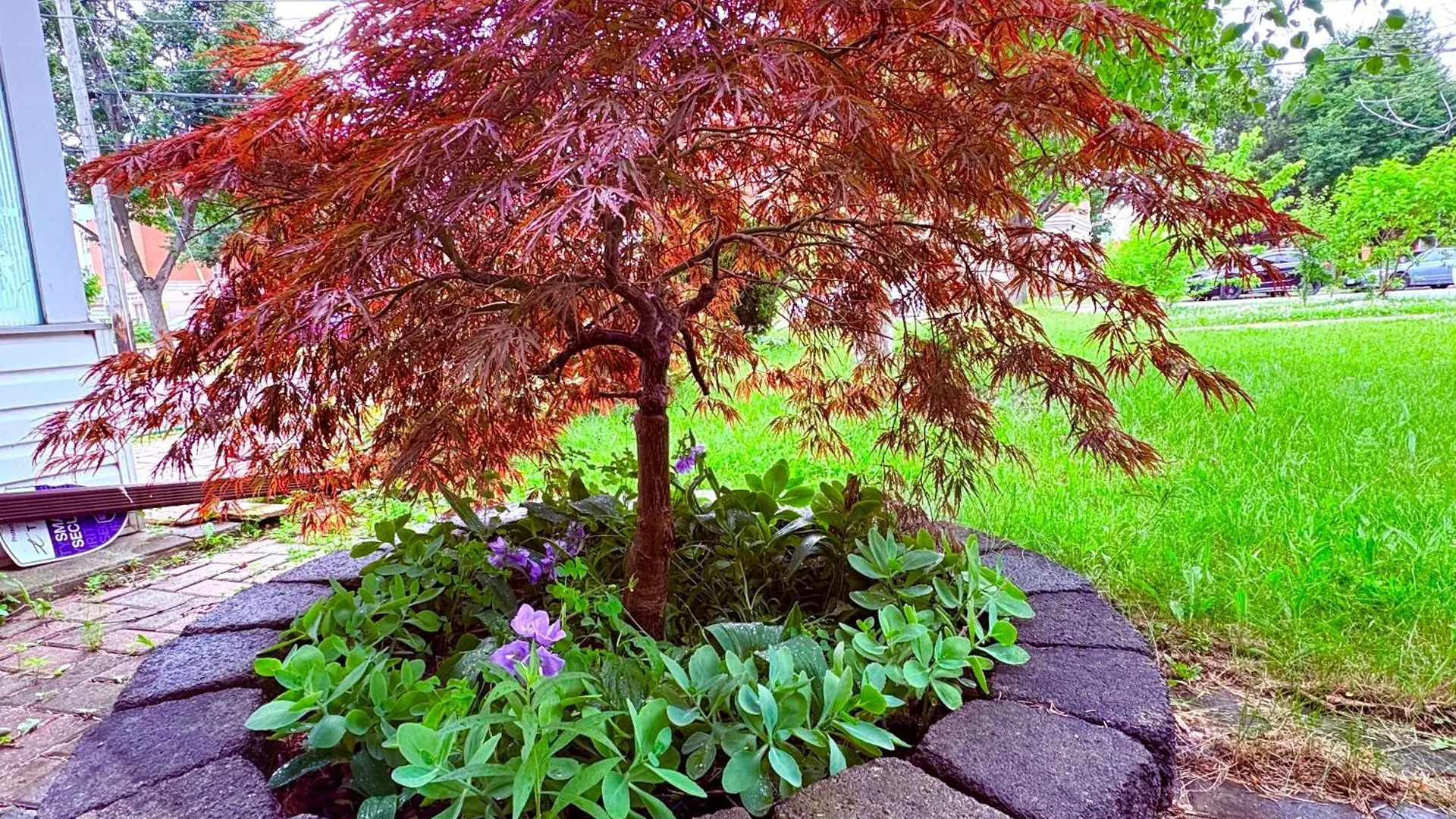 Vita House Toronto Near Downsview And Yorkdale Shopping Center Séjour chez l'habitant